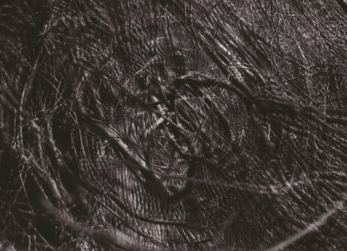 Обкладинка альбому The Moon and the Melodies гурту Cocteau Twins