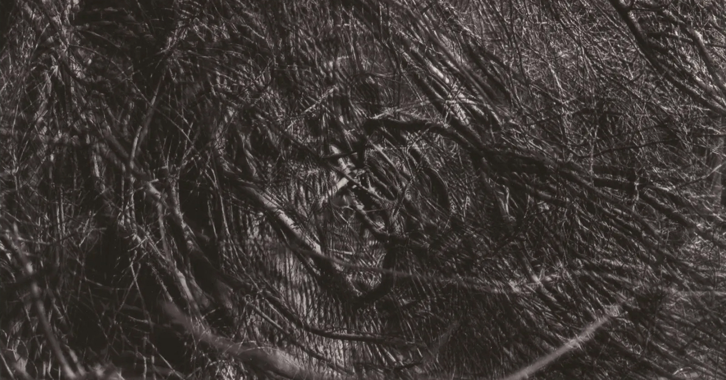 Обкладинка альбому The Moon and the Melodies гурту Cocteau Twins