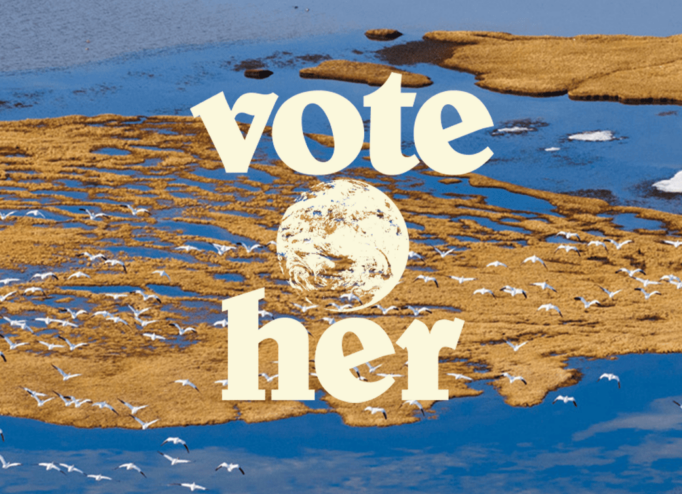 Ініціатива Vote Her від Patagonia