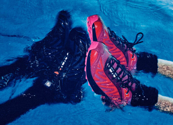 Кросівки Aries та Salomon