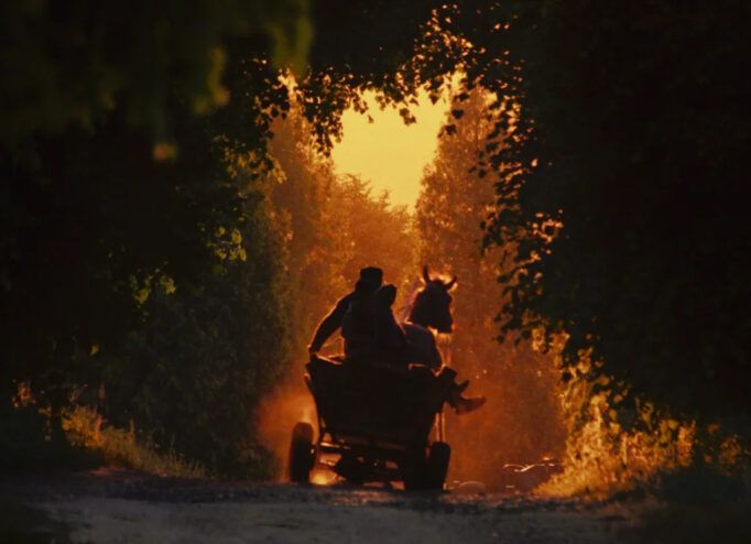 «Тиха повінь» Дмитра Сухолиткого-Собчука переміг на IDFA