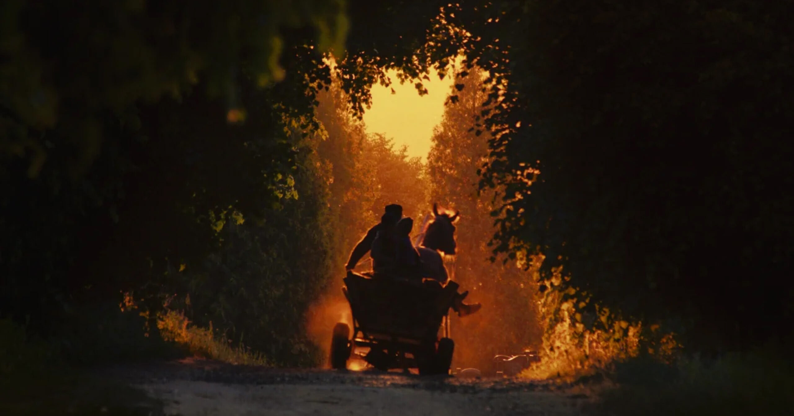 «Тиха повінь» Дмитра Сухолиткого-Собчука переміг на IDFA