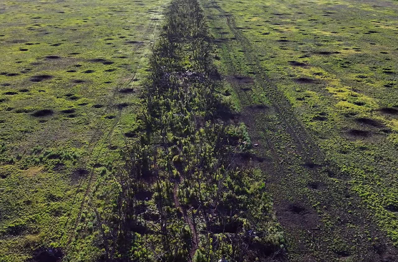Ліс у фільмі «2000 метрів до Андріївки» Мстислава Чернова