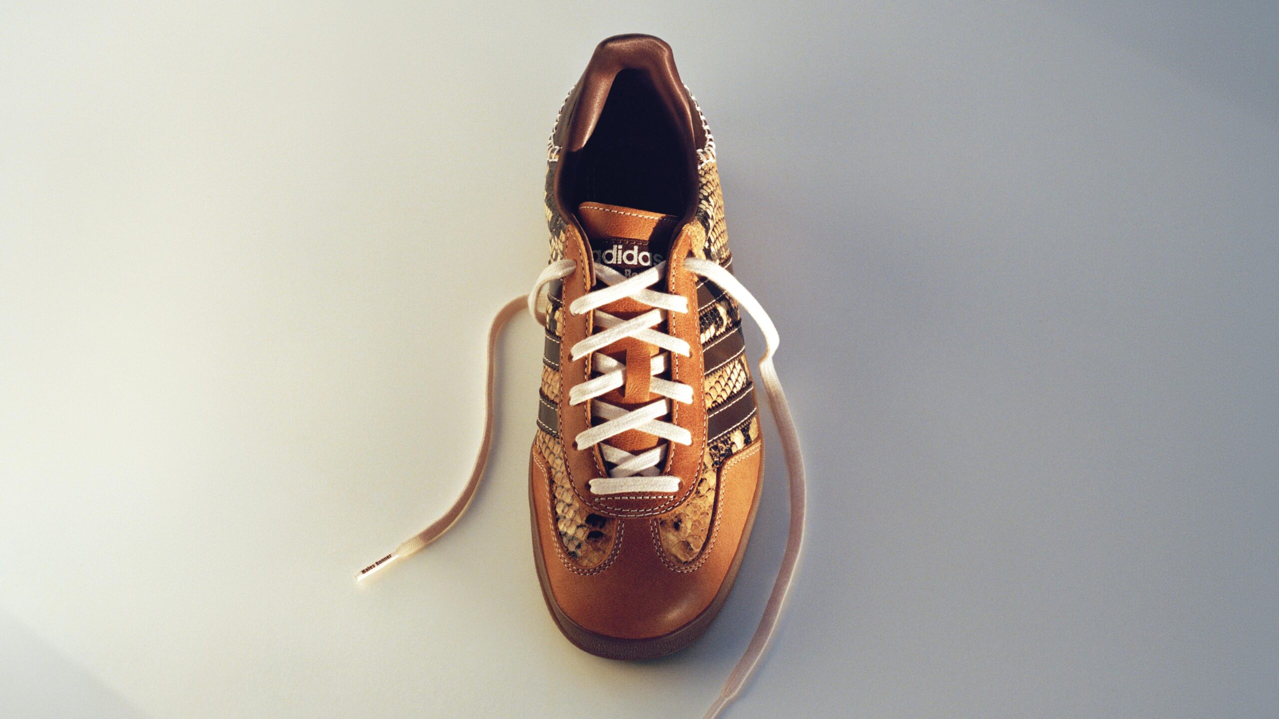 Кросівки adidas Wales Bonner Gazelle Snake