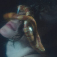 YUVI випустила альбом Viskra