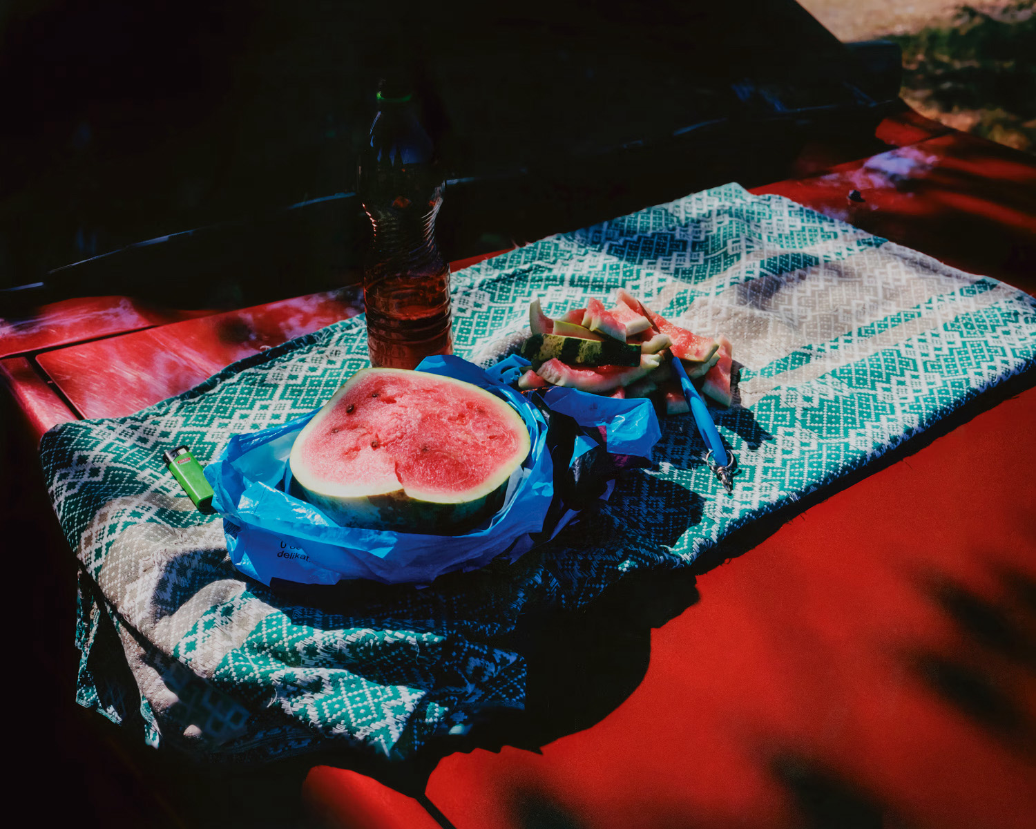 Dnipro, The Plunging Shore