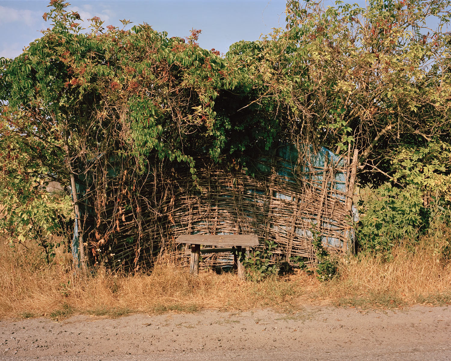 Dnipro, The Plunging Shore