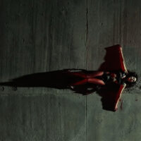 Arca XXXXX