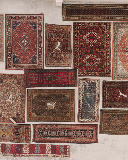 Puma Jaipur Rugs