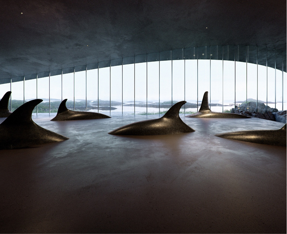 The Whale