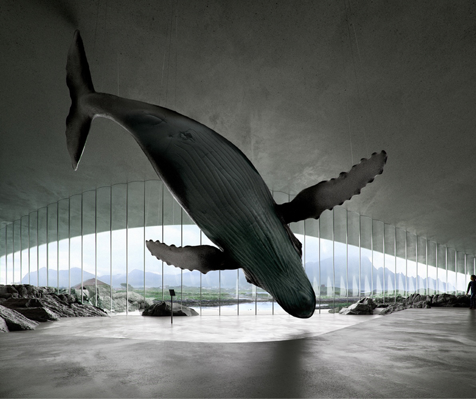 The Whale
