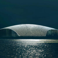 The Whale