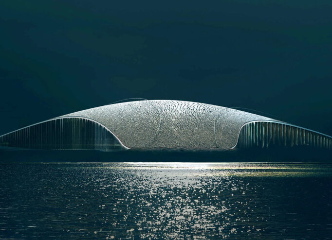 The Whale