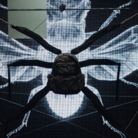 Колекція COLEOPTERA RIOTDIVISION