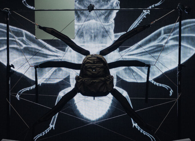 Колекція COLEOPTERA RIOTDIVISION