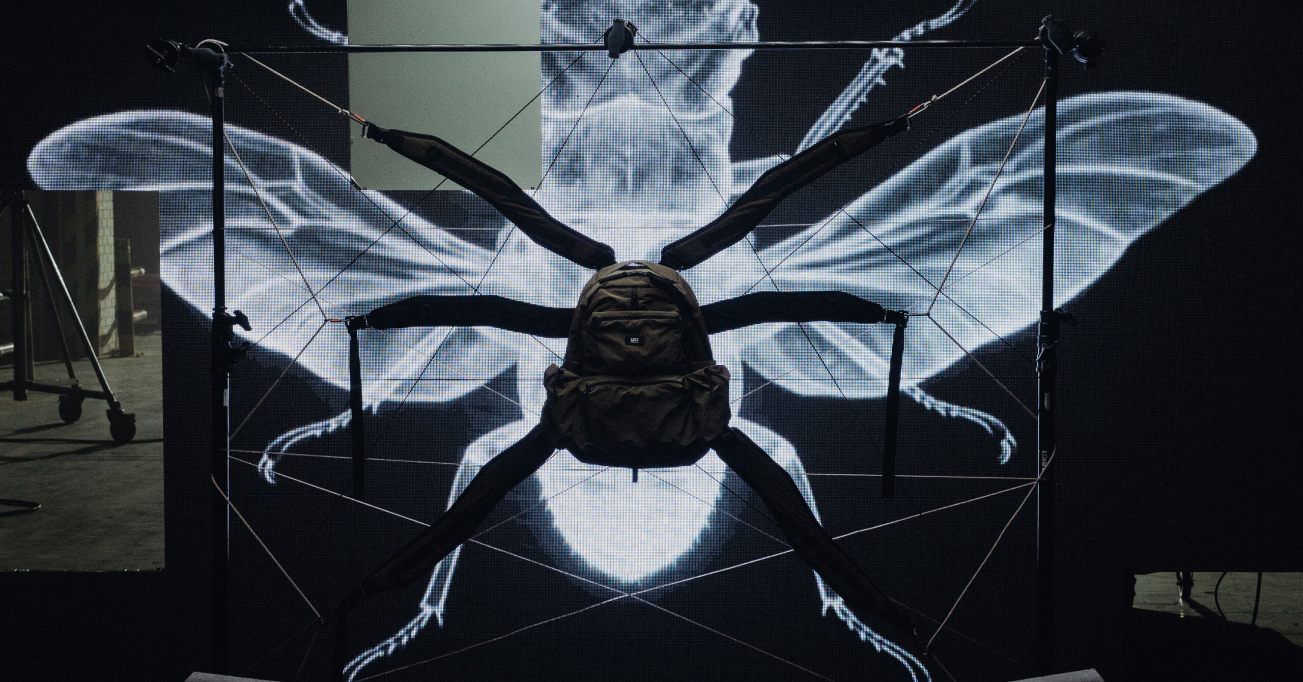 Колекція COLEOPTERA RIOTDIVISION