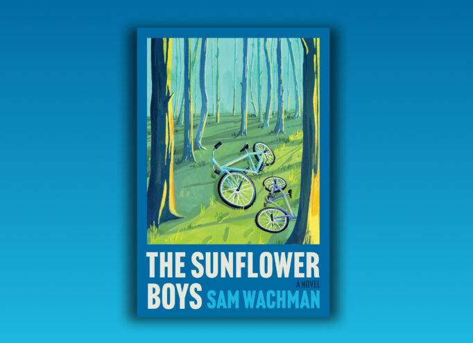 Обкладинка The Sunflower Boys
