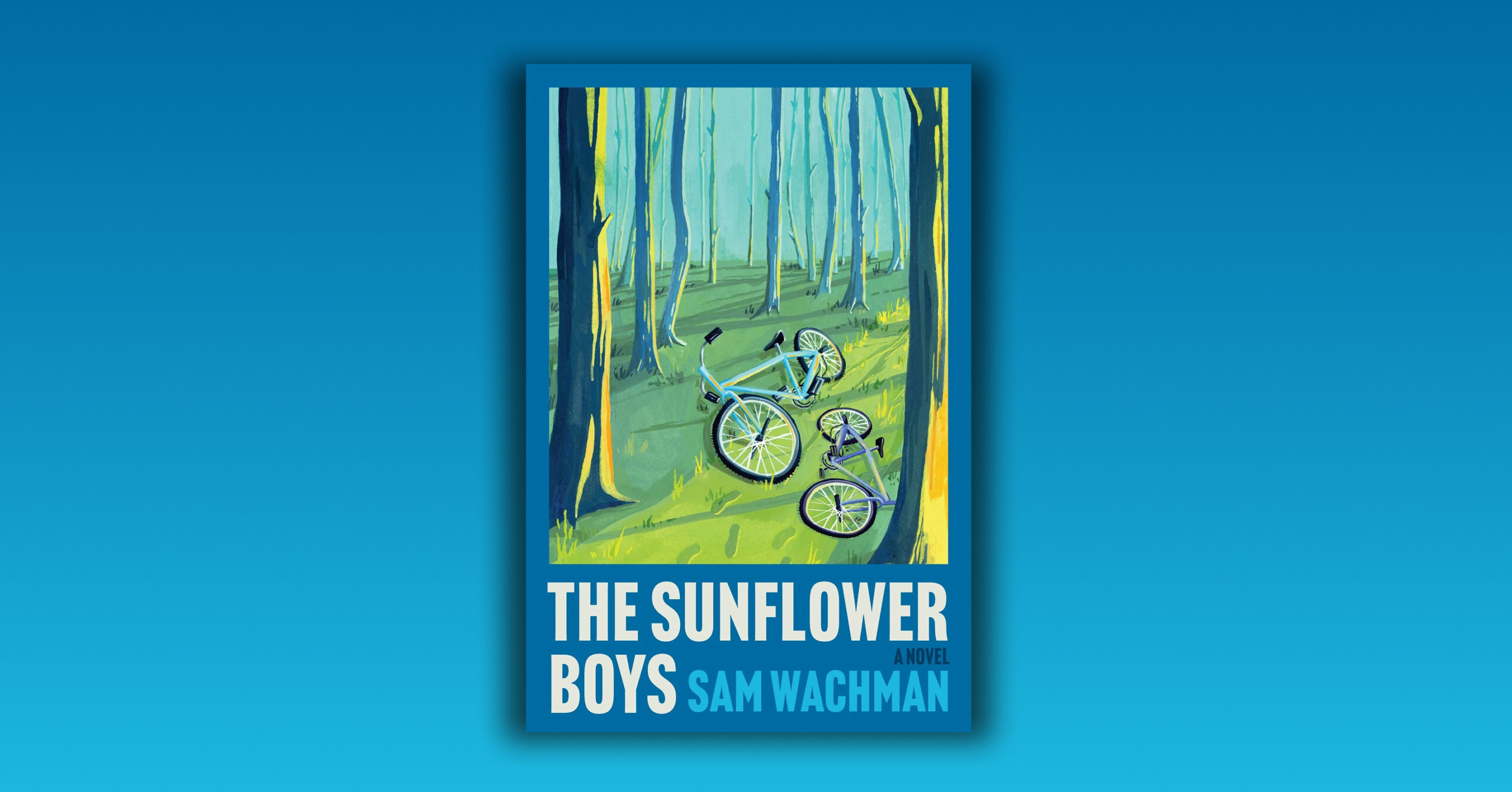 Обкладинка The Sunflower Boys