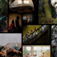 Виставка World Press Photo у Києві