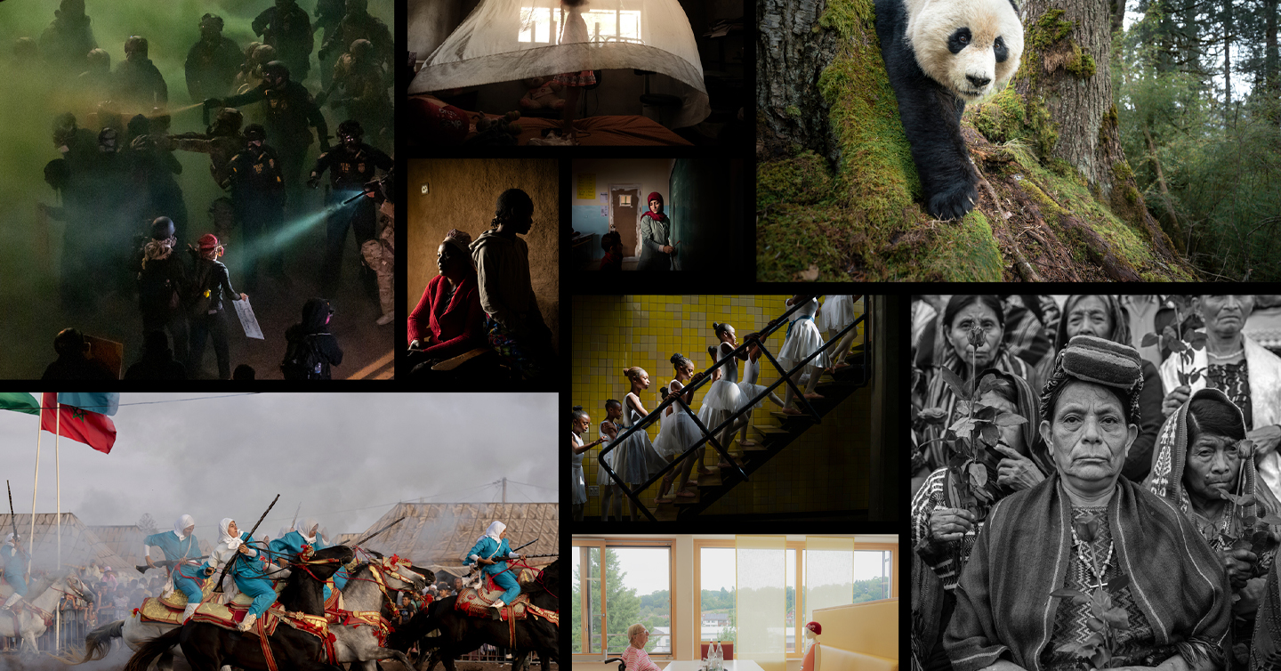 Виставка World Press Photo у Києві