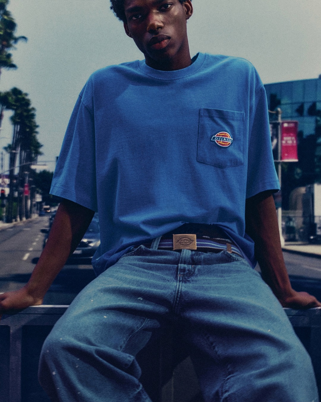 Pull&Bear та Dickies